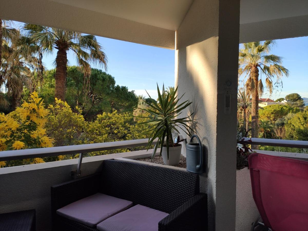 Appartamento Très beau T2 dans parc montfleury ,proche centre ,au calme 44 bd Montfleury Cannes Esterno foto