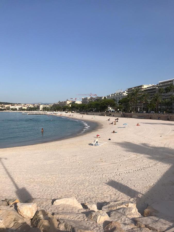 Appartamento Très beau T2 dans parc montfleury ,proche centre ,au calme 44 bd Montfleury Cannes Esterno foto