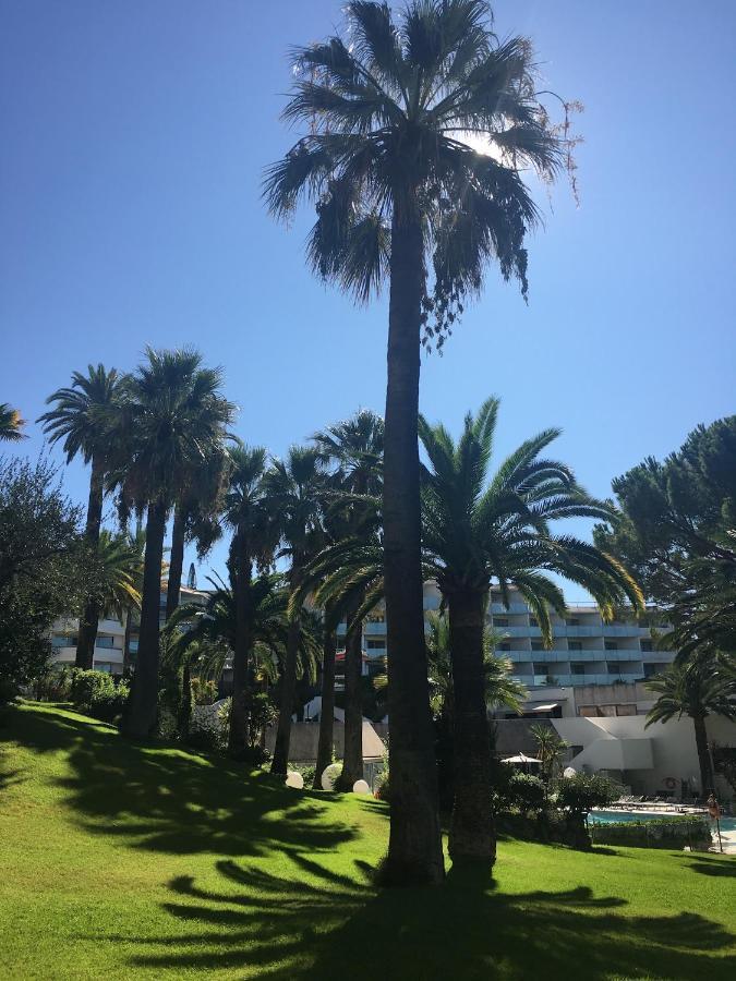 Appartamento Très beau T2 dans parc montfleury ,proche centre ,au calme 44 bd Montfleury Cannes Esterno foto