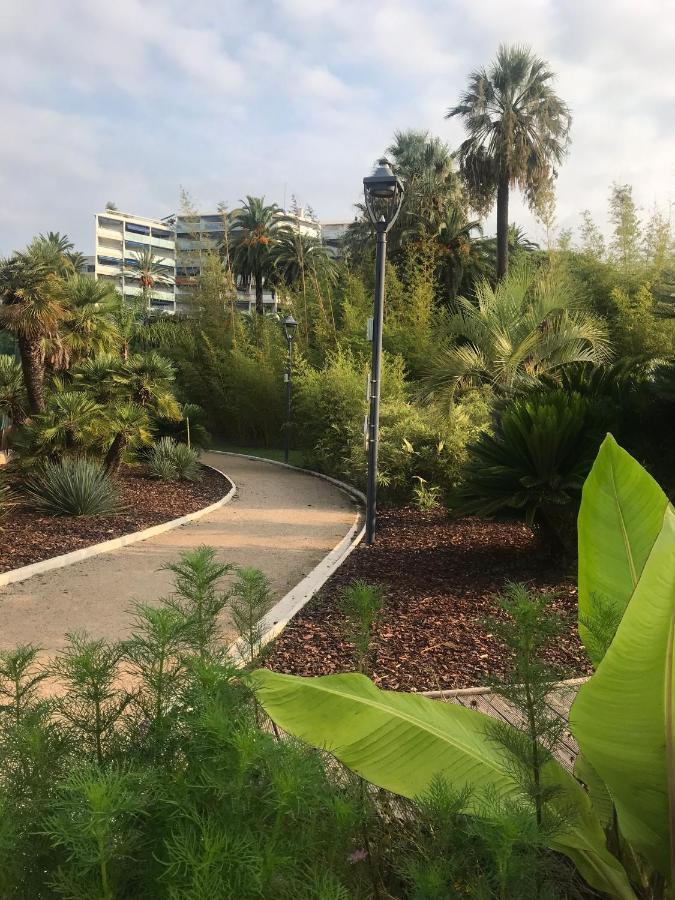 Appartamento Très beau T2 dans parc montfleury ,proche centre ,au calme 44 bd Montfleury Cannes Esterno foto